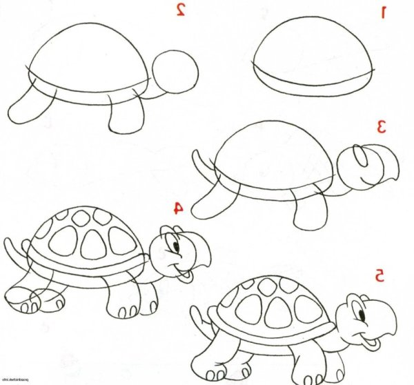 Поэтапное рисование для детей