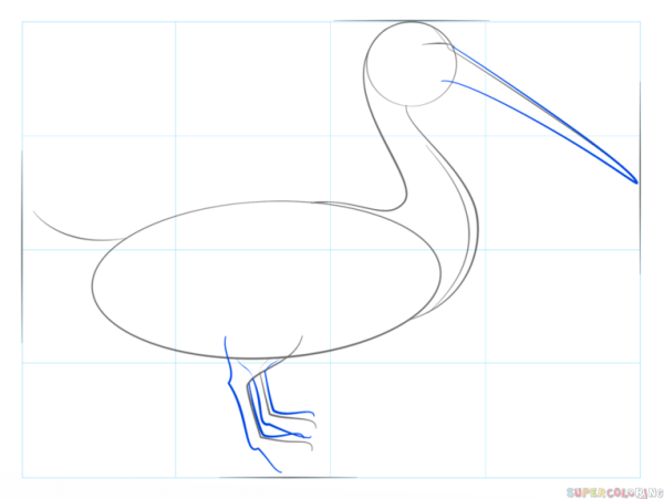 Пеликан уроки рисования