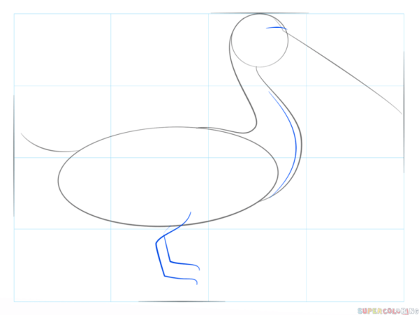 Пеликан рисунок пошагово