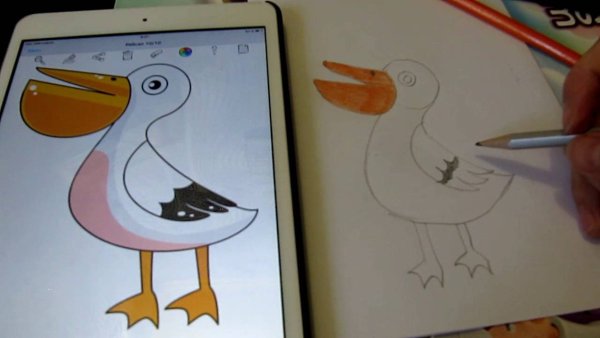 Пеликан поэтапно