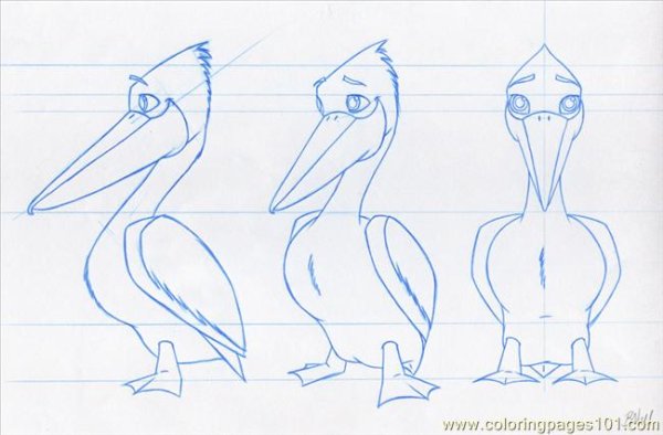 Пеликан рисунок поэтапно