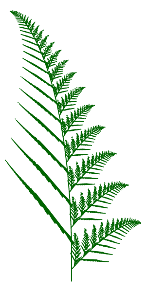 Лист папоротника