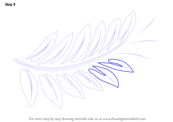 Нарисовать папоротник карандашом