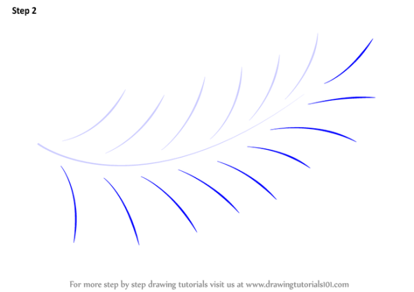 Поэтапное рисование папоротника