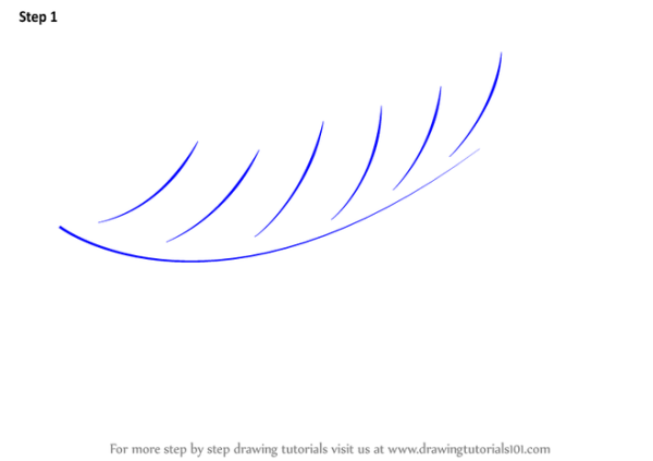 Папоротник рисунок пошагово