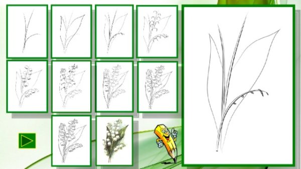 Схема рисования ландыша для детей