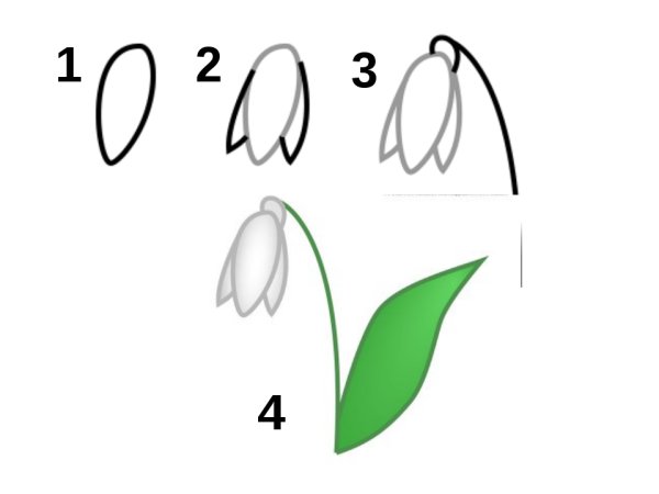 Как нарисовать Ландыш