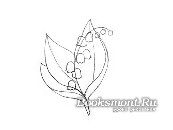 Поэтапное рисование ландыша