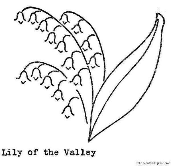 Ландыш Майский