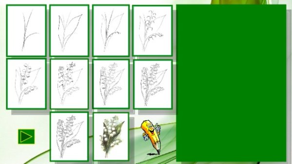 Ландыш Майский раскраска