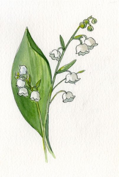 Цветы Ландыши эскизы