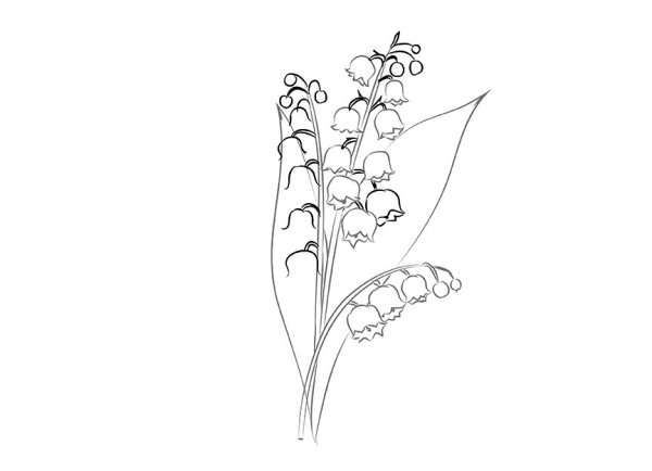 Ландыш для рисования для 3 класса