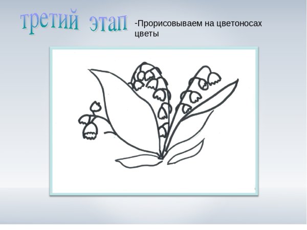 Ландыш Майский