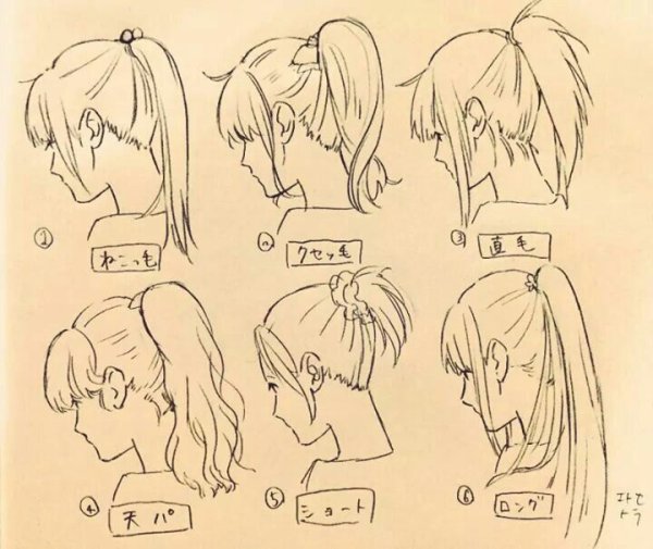 Волосы в хвостике референс