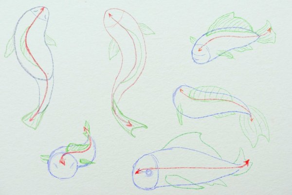 Рыбка построение