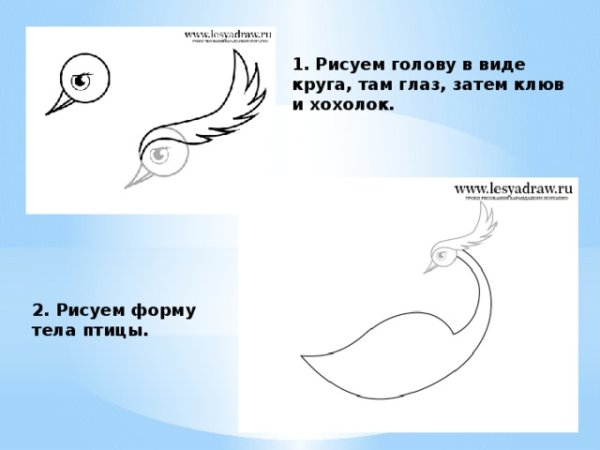 Этапы рисования сказочной птицы