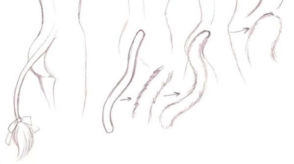 Хвост для рисования