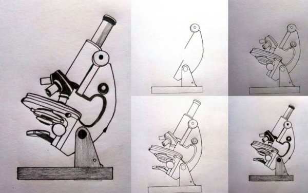 Световой микроскоп карандашом