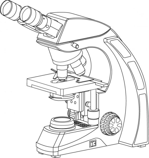 Разукрашка световой микроскоп