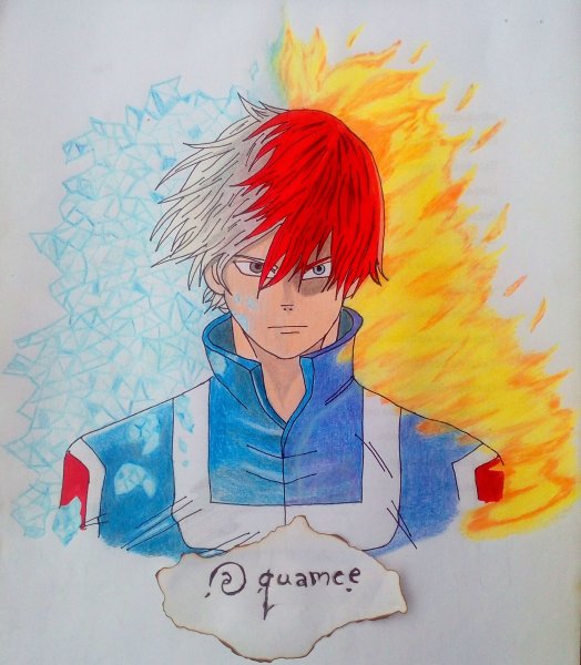 Мини шото Тодороки