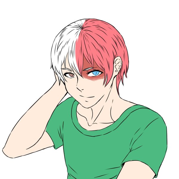 Тодороки шото злодей