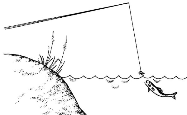 Удочка контур