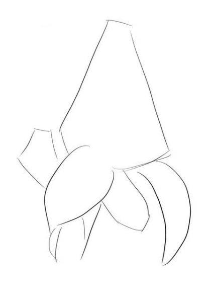 Сирень рисунок поэтапно