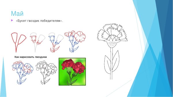 Как нарисовать гвоздику