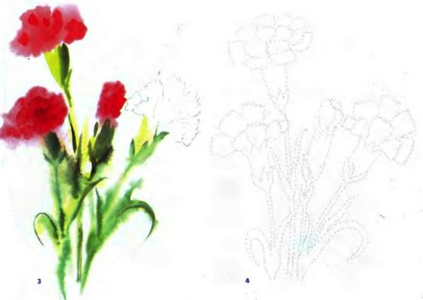 Гвоздики красками