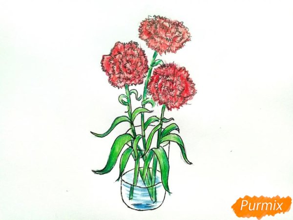 Гвоздики в вазе рисунок