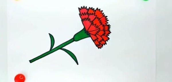 Нарисовать гвоздику карандашом ребенку в садик