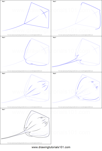 Пошаговое рисование ската