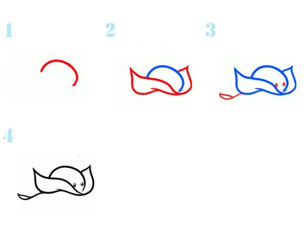 Скат поэтапно