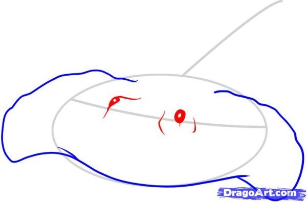 Скат поэтапное рисование