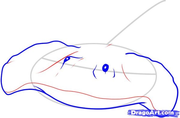 Пошаговое рисование ската
