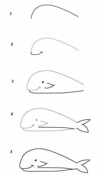 Кит поэтапное рисование