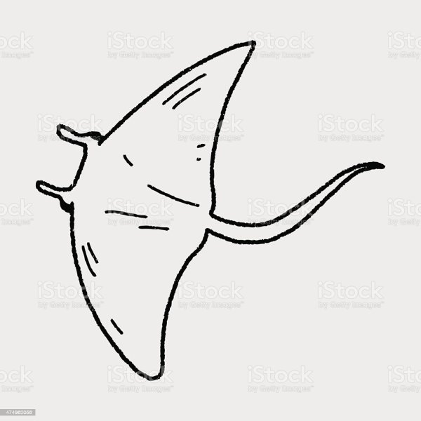 Скат для срисовки