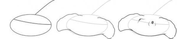 Скат поэтапно