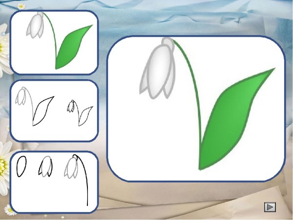 Поэтапное рисование подснежника