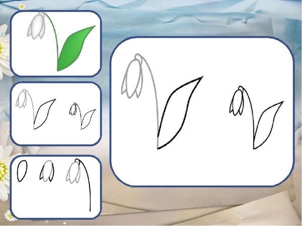 Этапы рисования подснежника