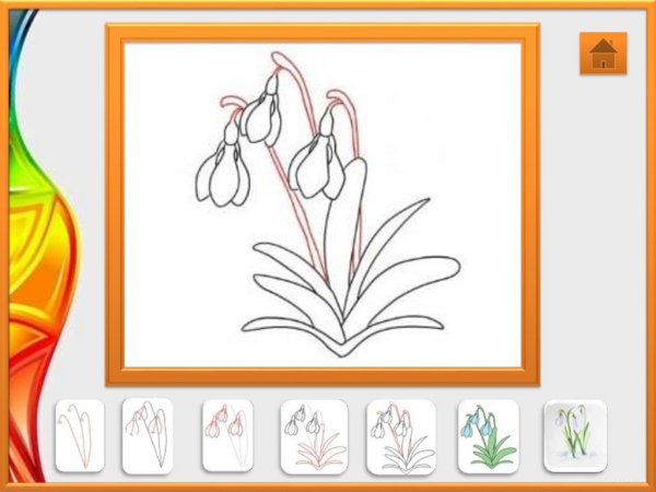 Поэтапное рисование подснежника