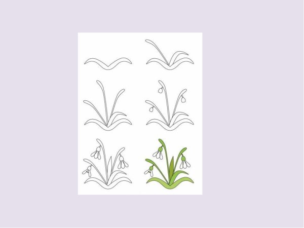 Схема рисования подснежника