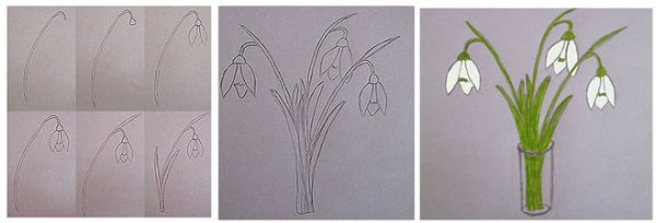 Рисование подснежники в вазе поэтапное