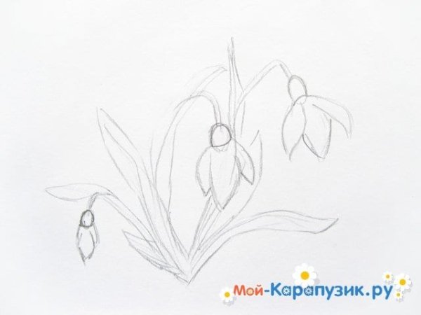 Рисование подснежника поэтапно