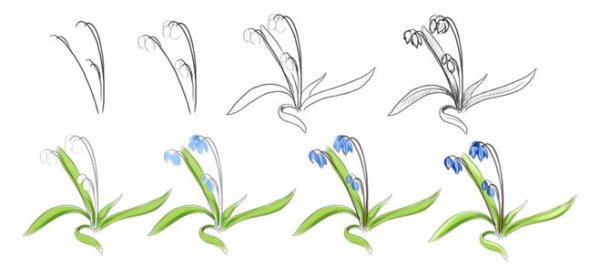 Поэтапное рисование весенних цветов