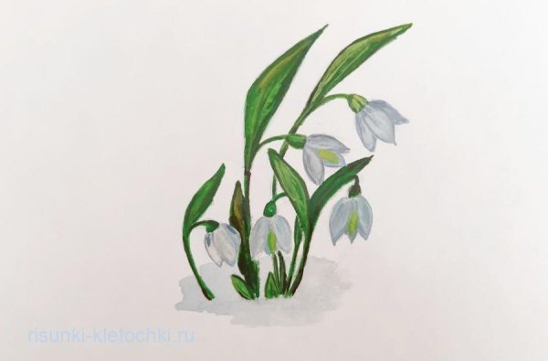 Подснежники в снегу срисовка
