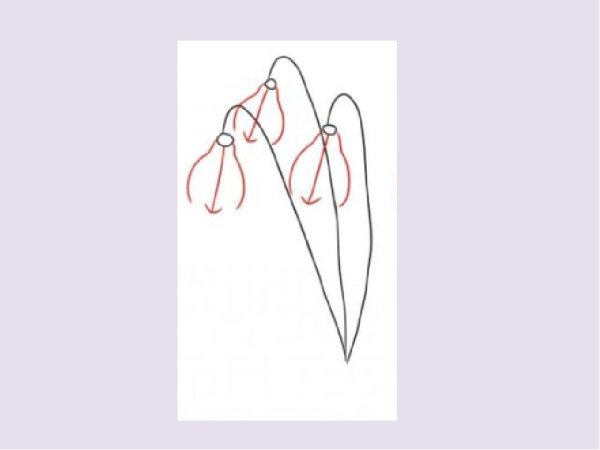 Урок изо рисуем Подснежник