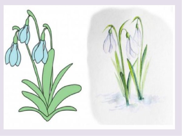 Урок рисования подснежники