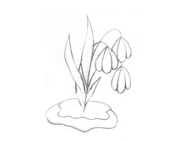Подснежник рисунок карандашом