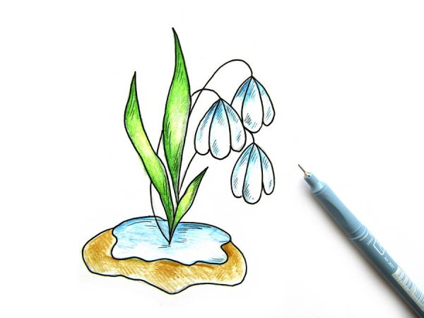 Подснежник рисунок для детей